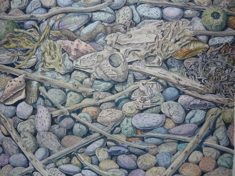 Patrick White painting All the colours of the beach