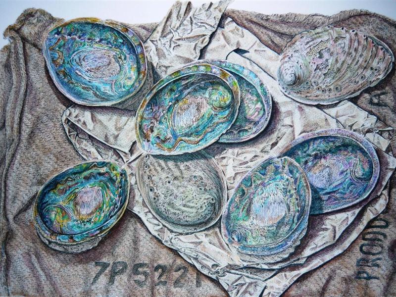 Patrick White painting of a sack with paua