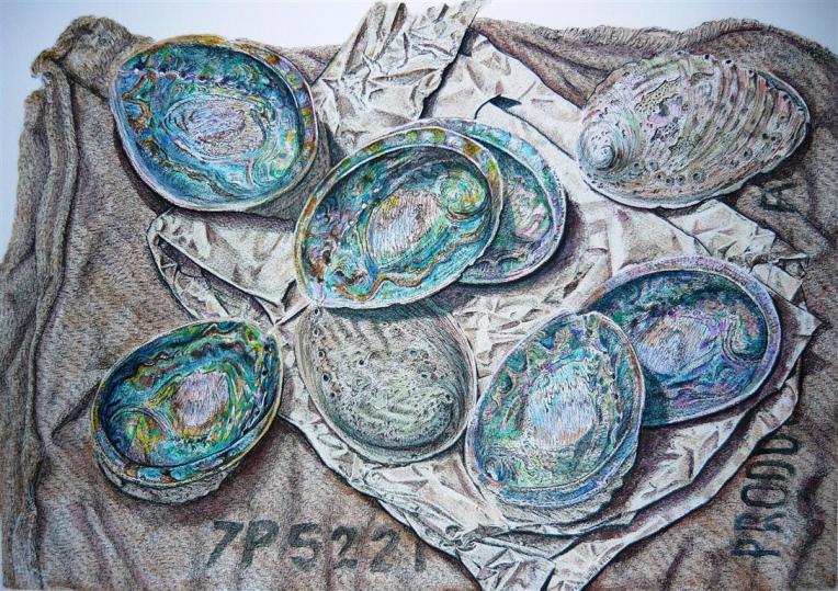 Patrick White painting of a sack with paua