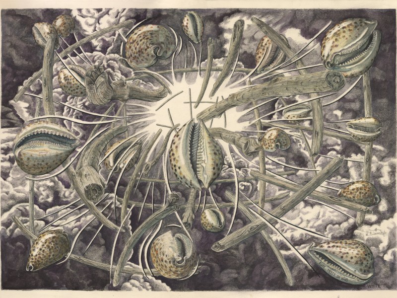 Dr Who meets Patrick White