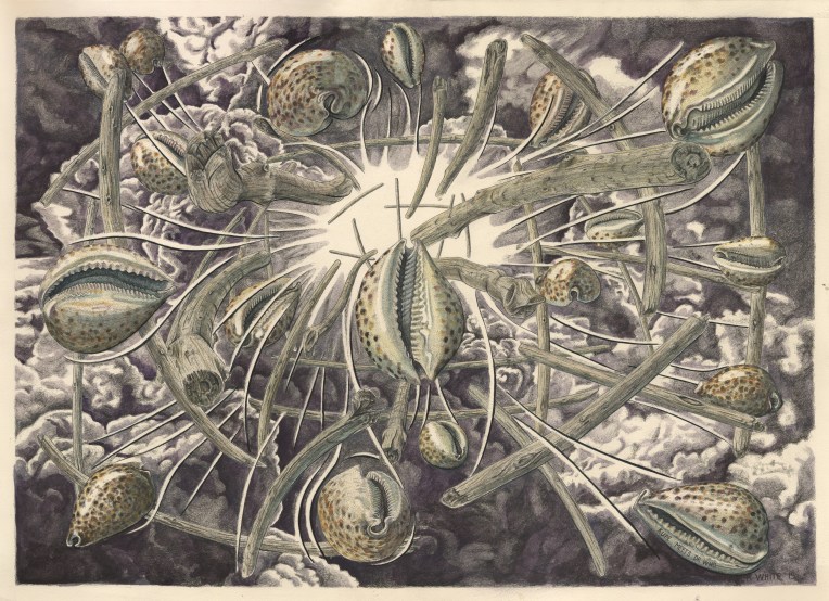 Dr Who meets Patrick White